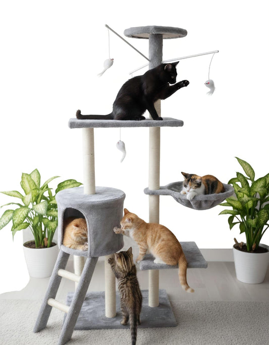 Casa de gato - refugio para gatos - rascador para gatos