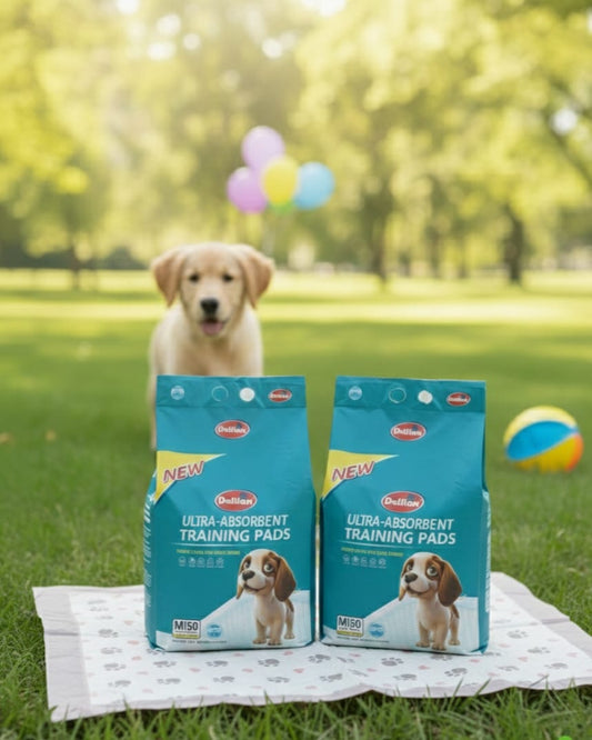 Pack de 2 Empapadores Ultra Absorbentes para Perros – Paquete de 50 unidades